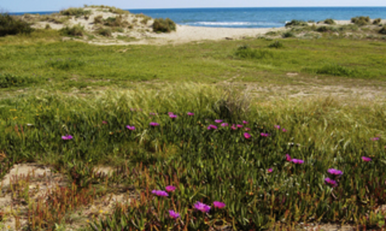 Villa de plage à vendre - Bahía de Marbella - Costa del Sol 12