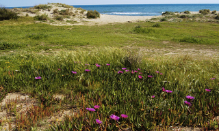 Villa de plage à vendre - Bahía de Marbella - Costa del Sol 12