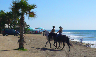 Appartement à vendre, en première ligne de plage - complexe en première ligne de plage, San Pedro - Marbella 4