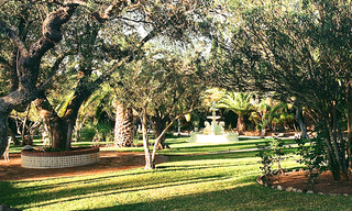 Villa - Finca - Maison à vendre proche de Ronda sur la Costa del Sol, Andalousie, Espagne 6
