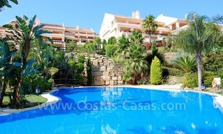 Appartement de luxe à vendre dans Nueva Andalucía - Marbella 1