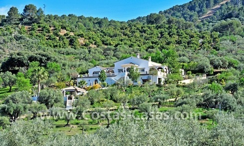 Villa - terrain - propriété de campagne à vendre à Monda sur la Costa del Sol, Andalucía, Espagne du sud 