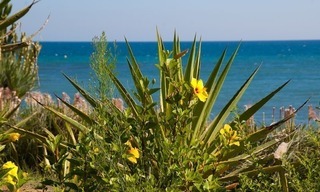 Pour une location de vacances: Appartement de luxe en première ligne de plage, nouvelle Mille d' Or, Marbella - Estepona, Costa del Sol 25