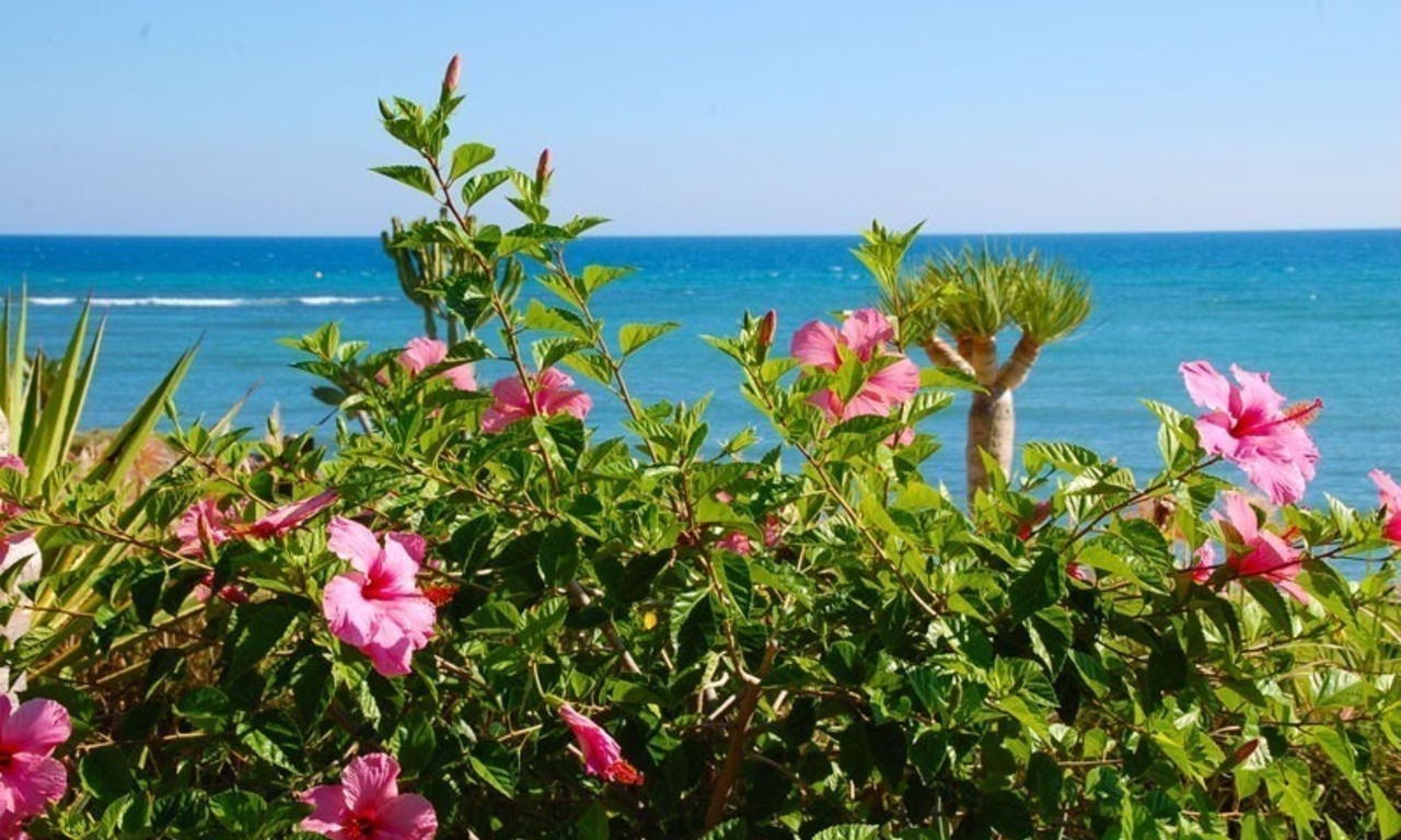 Pour une location de vacances: Appartement de luxe en première ligne de plage, nouvelle Mille d' Or, Marbella - Estepona, Costa del Sol 24