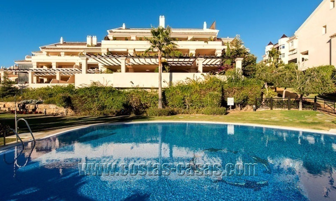 À vendre: Grand Duplex Penthouse à Nueva Andalucía, Vallée de golf de Marbella 8