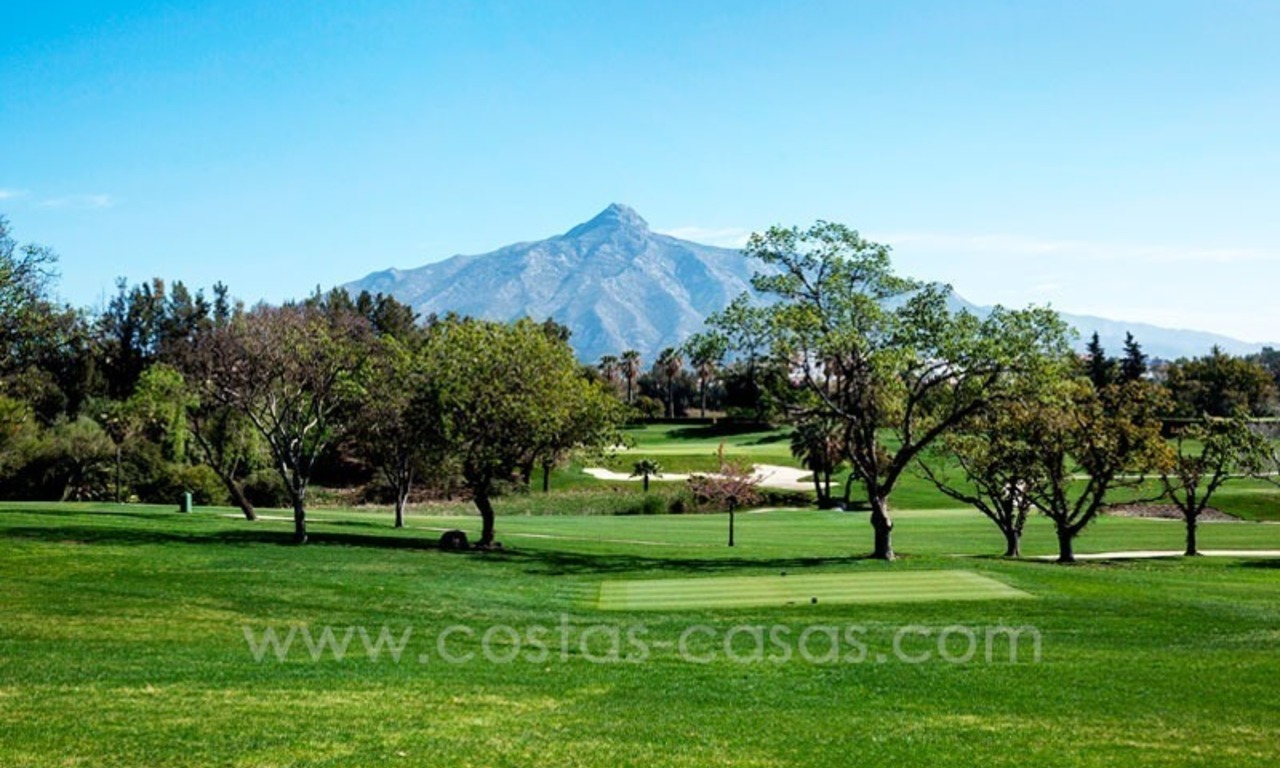 À vendre: Grande villa de golf contemporaine dans Nueva Andalucía - Marbella 4