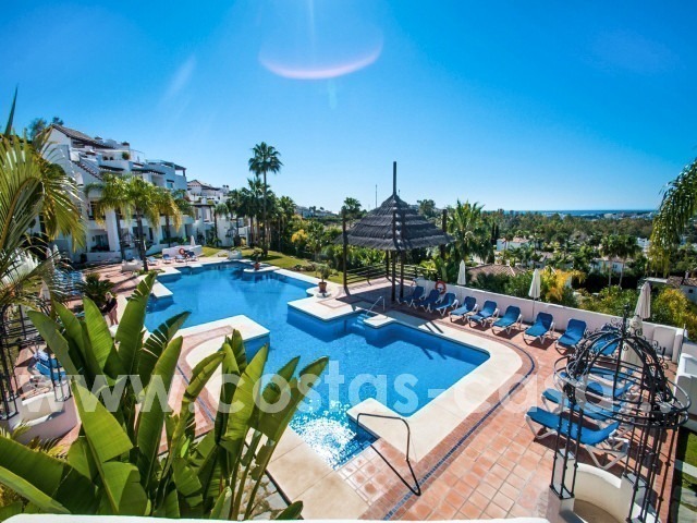 Fabuleux penthouse de 3 chambres à Nueva Andalucia, Marbella