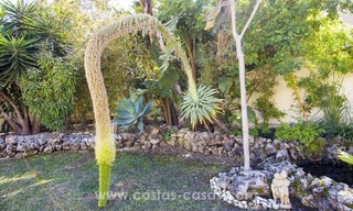 Magnifique villa en deuxième ligne de plage à vendre avec vue sur la mer à Marbella Est 8