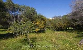 Magnifique villa en deuxième ligne de plage à vendre avec vue sur la mer à Marbella Est 40