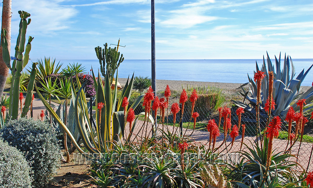 Appartements à vendre à Costalita, New Golden Mile, entre Marbella et Estepona centre 9634