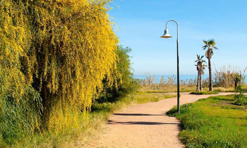 Appartements à vendre à Costalita, New Golden Mile, entre Marbella et Estepona centre 9884