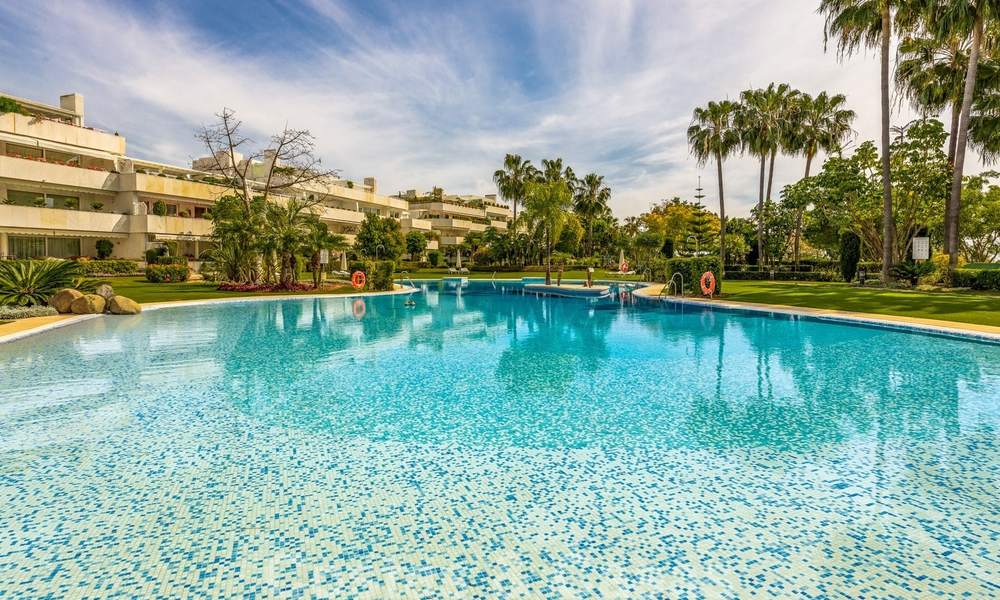 Appartement de luxe rénové à vendre, première ligne du golf Las Brisas à Nueva Andalucia, Marbella 26565