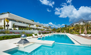 Luxueux penthouse exclusif avec une immense solarium et une piscine privée à vendre à Marbella, Golden Mile 41128 