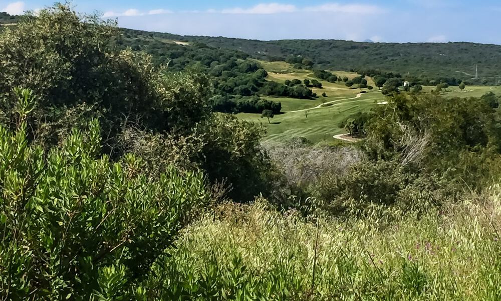 Parcelle + projet d'une villa sophistiquée à vendre située dans la très exclusive communauté fermée de Sotogrande, Costa del Sol 49019