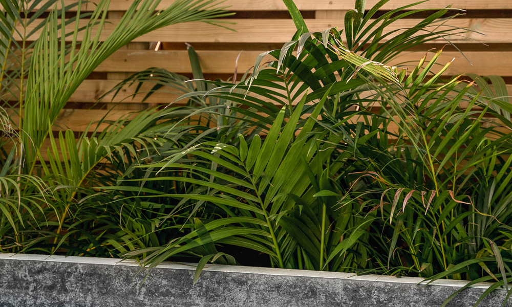 2 appartements exclusifs à vendre avec terrasse spacieuse, piscine privée et vue sur la montagne de La Concha à Nueva Andalucia, Marbella 50101