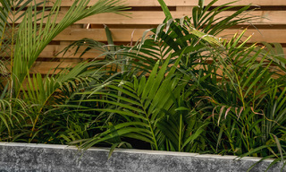 2 appartements exclusifs à vendre avec terrasse spacieuse, piscine privée et vue sur la montagne de La Concha à Nueva Andalucia, Marbella 50101 