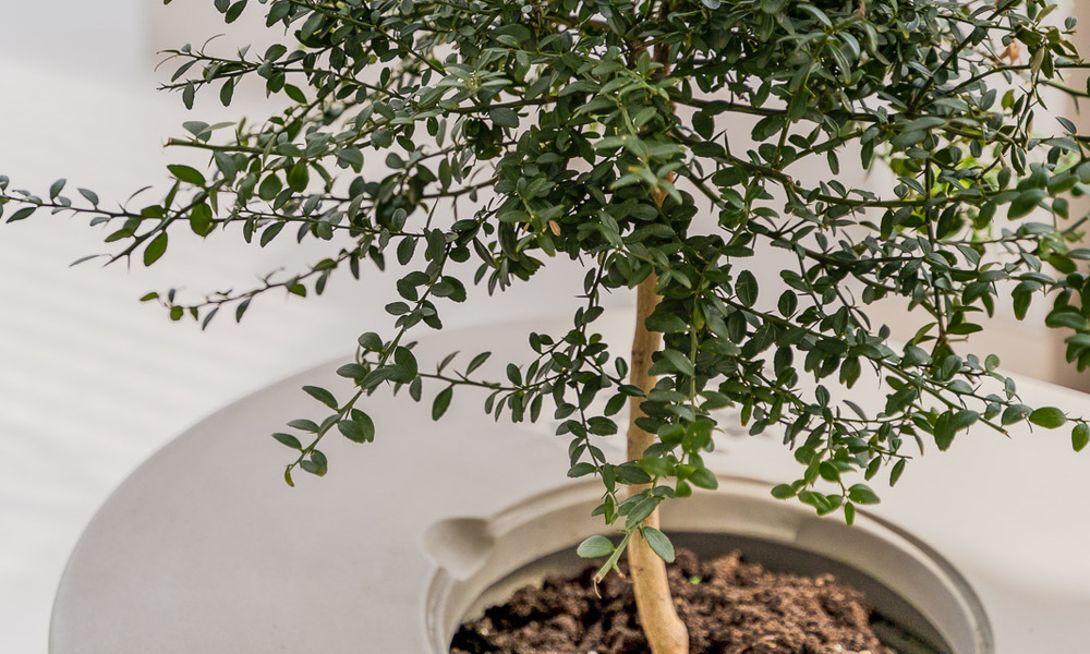 Appartement rénové de qualité à vendre avec vue sur les terrains de golf de La Quinta à Benahavis - Marbella 54350