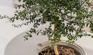 Appartement rénové de qualité à vendre avec vue sur les terrains de golf de La Quinta à Benahavis - Marbella 54350 