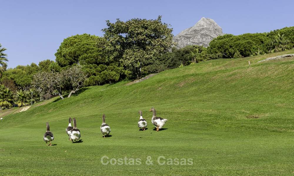 Maison mitoyenne rénovée dans un complexe fermé, en bordure du golf Aloha, à distance de marche du clubhouse à Nueva Andalucia, Marbella 56651