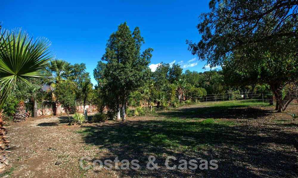 Finca avec écuries à vendre à proximité du centre d'Estepona, Costa del Sol 61035