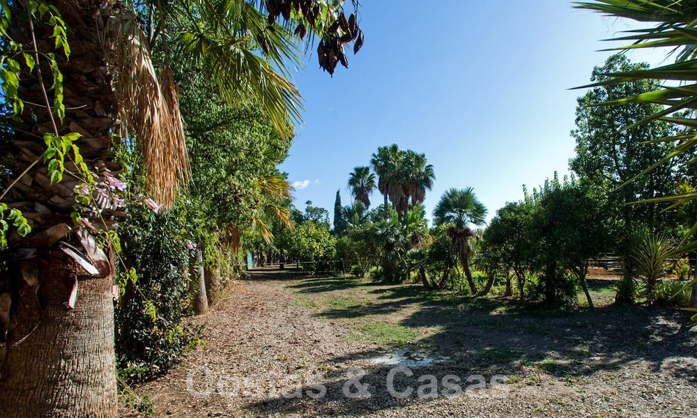 Finca avec écuries à vendre à proximité du centre d'Estepona, Costa del Sol 61037