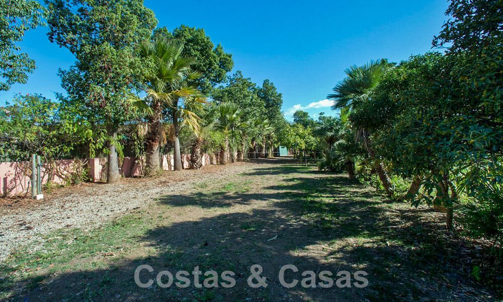 Finca avec écuries à vendre à proximité du centre d'Estepona, Costa del Sol 61039