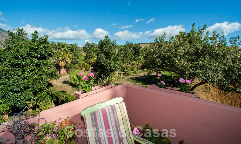 Finca avec écuries à vendre à proximité du centre d'Estepona, Costa del Sol 61051