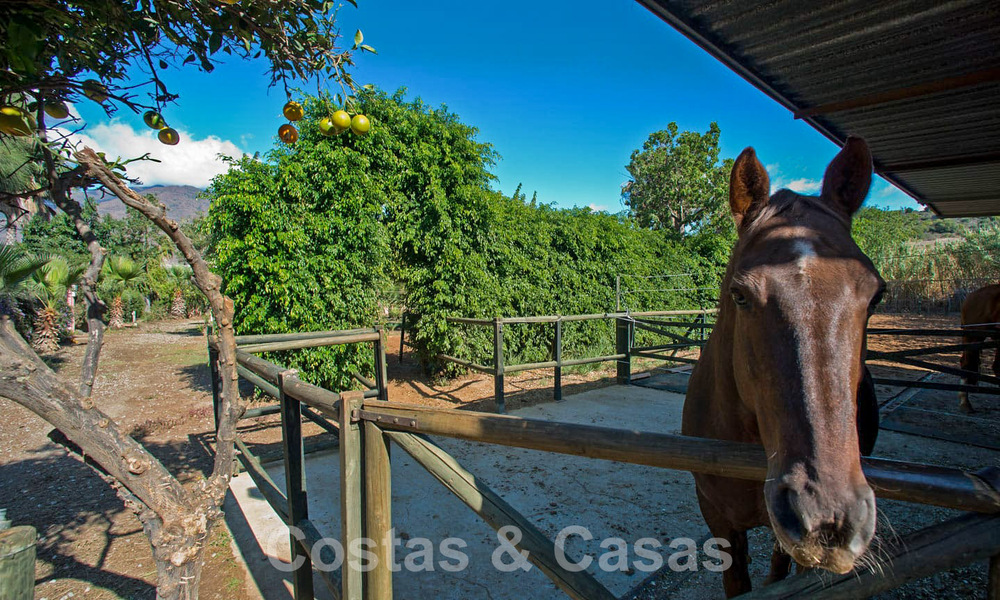 Finca avec écuries à vendre à proximité du centre d'Estepona, Costa del Sol 61063