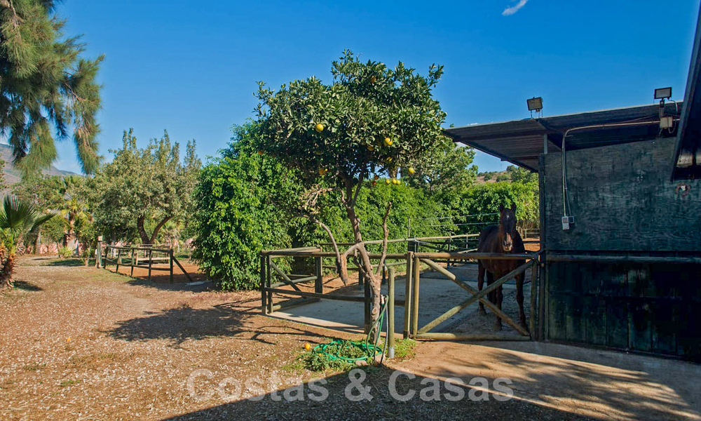 Finca avec écuries à vendre à proximité du centre d'Estepona, Costa del Sol 61065