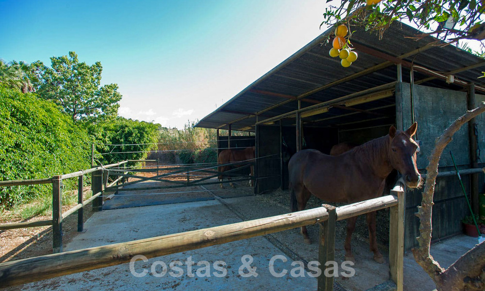 Finca avec écuries à vendre à proximité du centre d'Estepona, Costa del Sol 61066