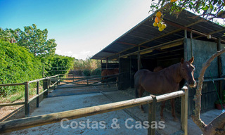 Finca avec écuries à vendre à proximité du centre d'Estepona, Costa del Sol 61066 