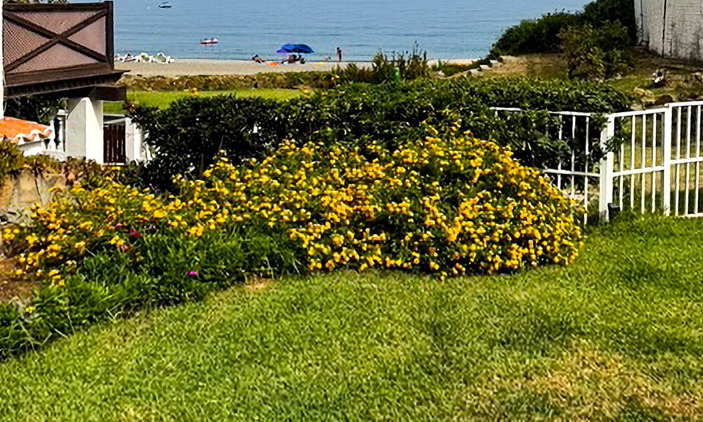 Spacieuse maison de plage, prête à emménager, avec vue sur la mer, à vendre, adjacente à la plage, près d'Estepona 785464