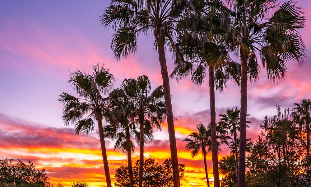 Appartement exclusif en première ligne de plage avec vue panoramique sur la mer à vendre dans le centre d’Estepona 795954