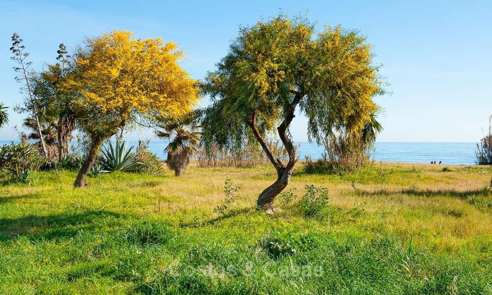 Villa méditerranéenne modernisée et prête à emménager à vendre à quelques mètres de la plage entre Marbella et Estepona 799752