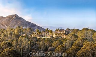 Projet de rénovation intégrale de luxe avec presqu’île privée et vues panoramiques sur le lac à Istán, Marbella 805852 