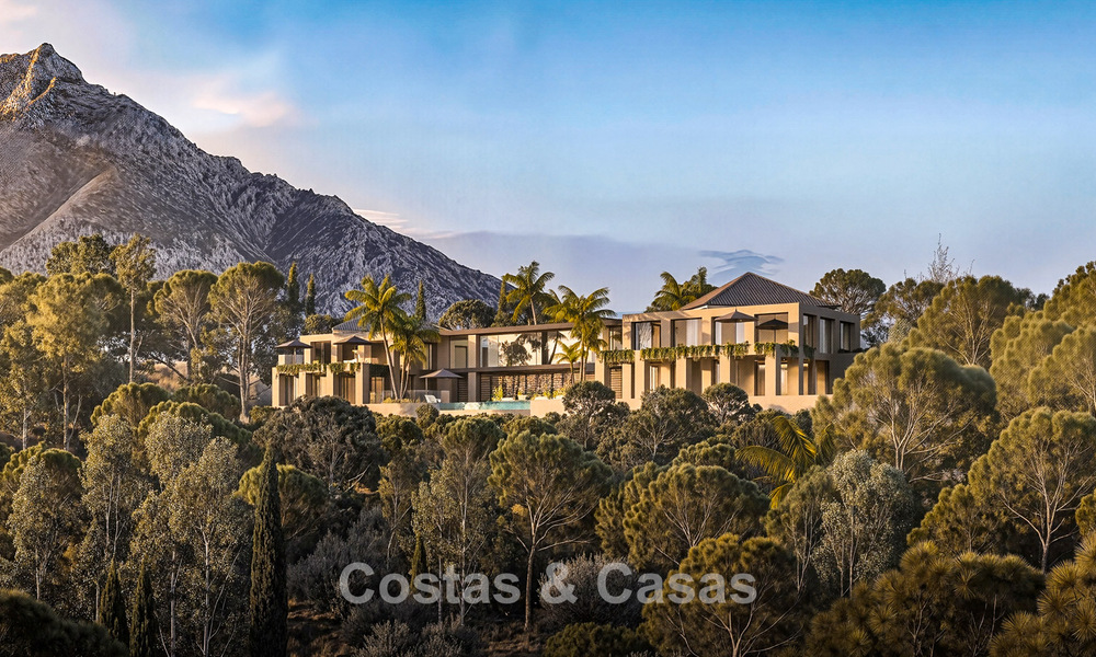 Projet de rénovation intégrale de luxe avec presqu’île privée et vues panoramiques sur le lac à Istán, Marbella 805853