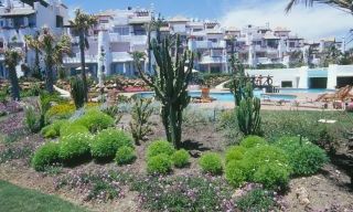 Appartement et penthouse à vendre, Puerto Banús - Marbella 2